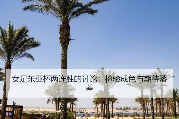 nv-zu-dong-ya-bei-liang-lian-sheng-de-tao-lun-jian-yan-cheng-se-yu-qi-dai-luo-cha-2-142.jpg